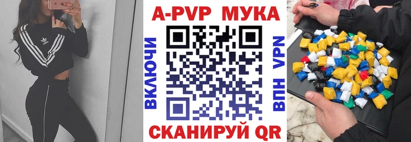 Альфа ПВП СК Гдов