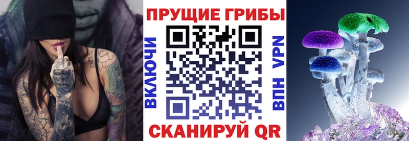 блэк спрут зеркало  Гдов  Псилоцибиновые грибы мицелий 
